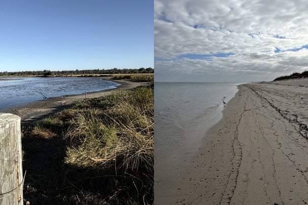Split image of wetlands including a lake and beach.