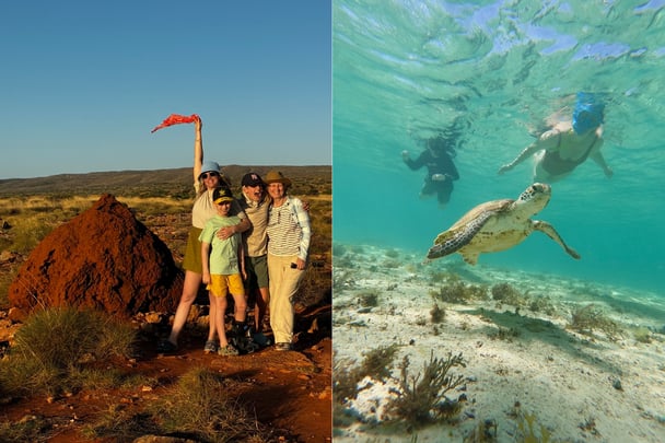 people standing at a termite mound and swimming with Turtles Osprey Bay WA