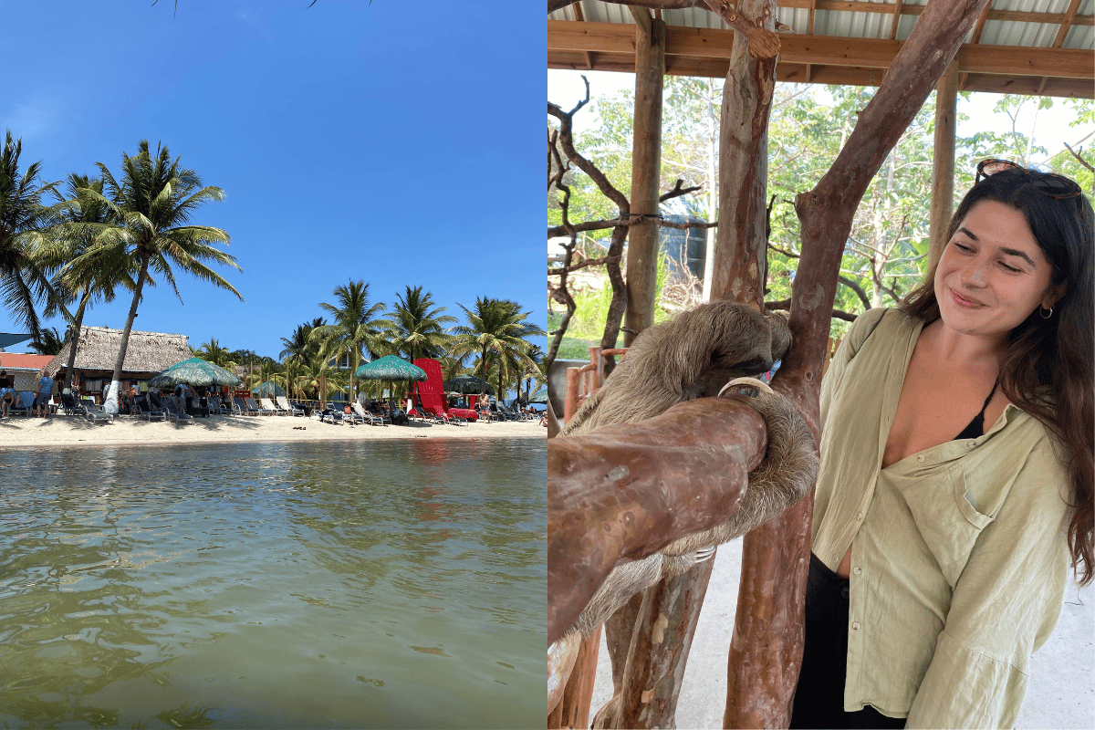 A beach in Roatan and sloths.