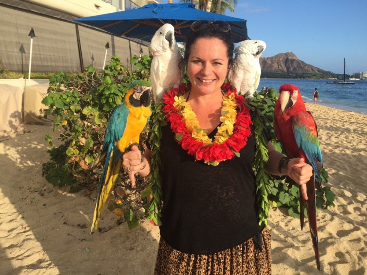 A woman poses with cockatoos and parrots, while wearing flower leis, on a beach in Waikiki, Haiwaii.