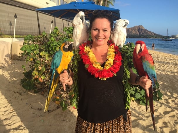 A woman poses with cockatoos and parrots, while wearing flower leis, on a beach in Waikiki, Haiwaii.
