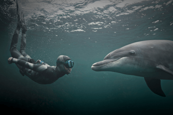 A dolphin and a human swim next to each other.