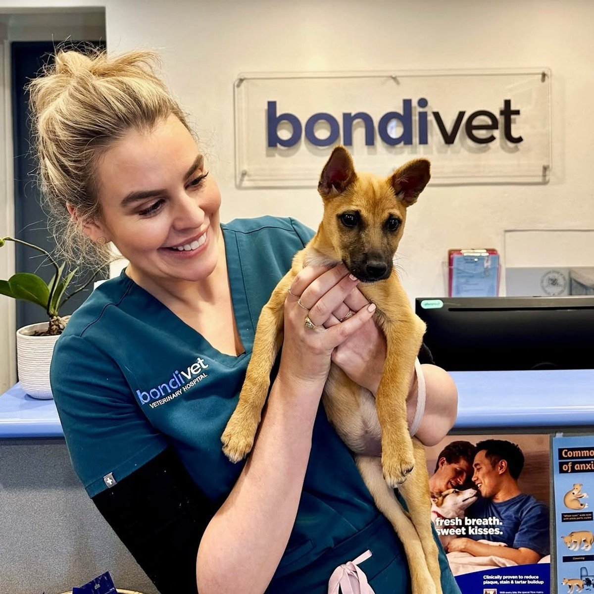 Bondi Vet Hospital owner and The Real Housewives of Sydney star Dr Kate Adams.
