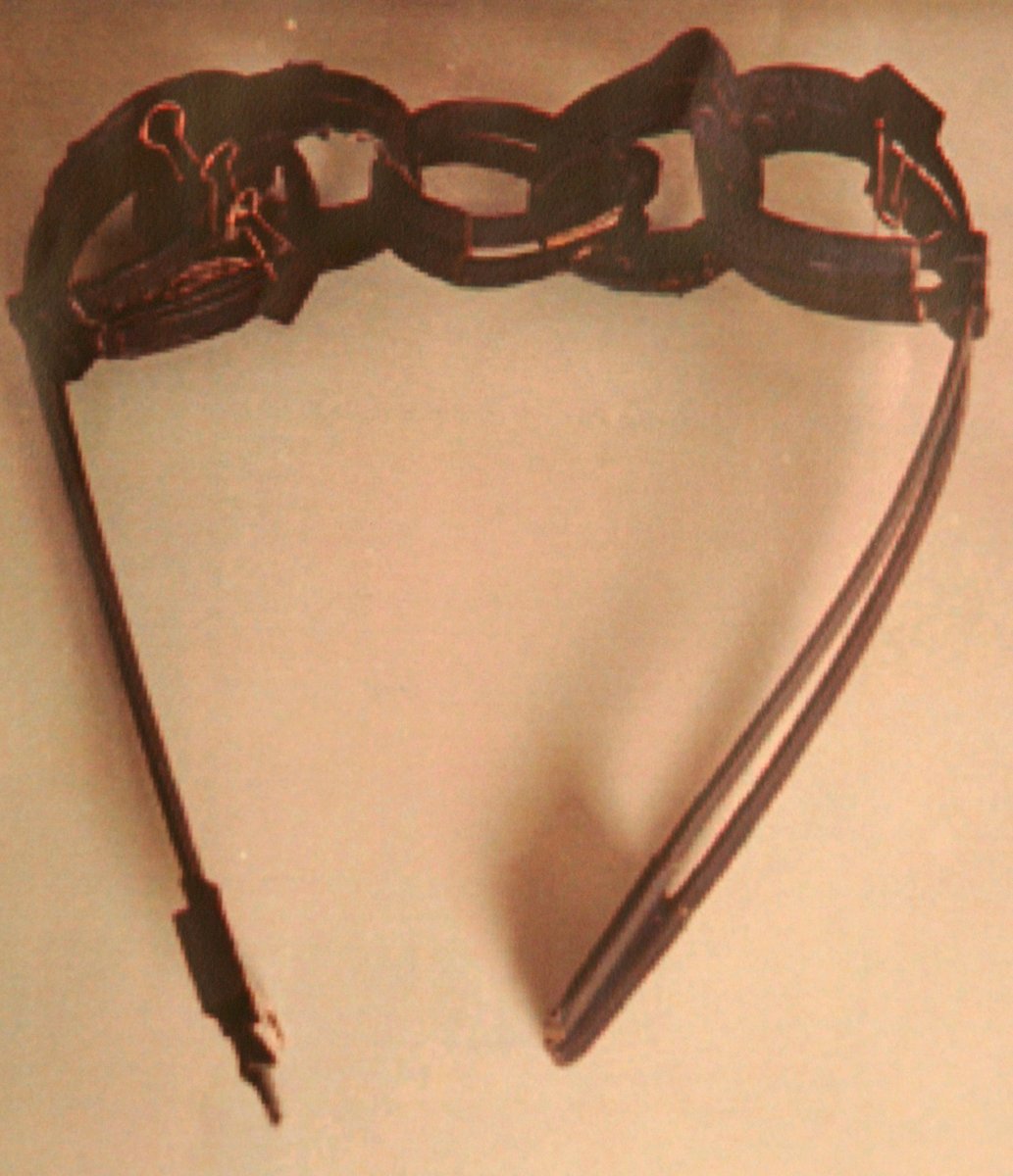 A photograph of cable ties used by Bradley John Murdoch to restrain Joanne Lees