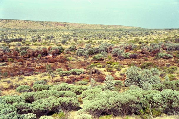 The scrub where Peter Falconio and Joanne Lees were allegedly assaulted. 