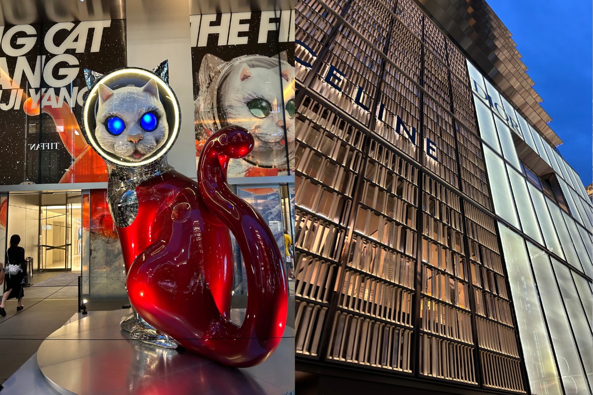 ginza-designer-celine-dior-cat