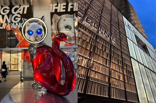 ginza-designer-celine-dior-cat