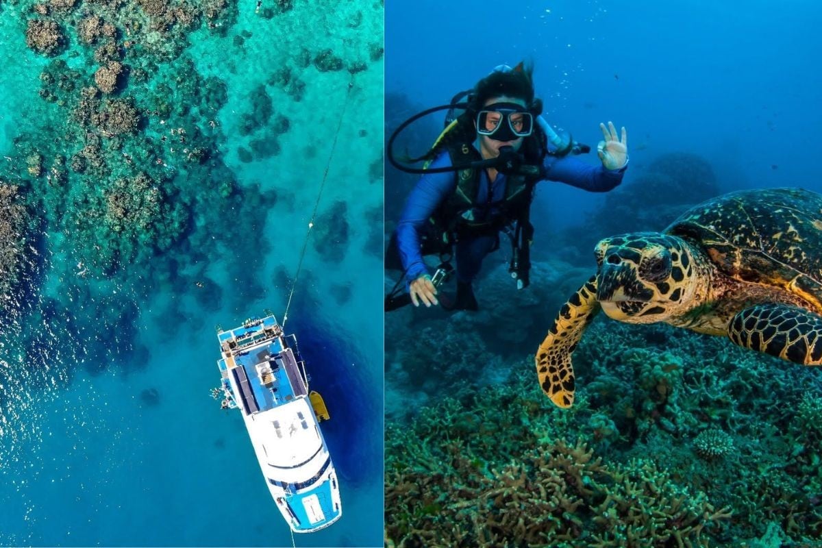 drone footage of great barrier reef side by side next to someone scuba diving with a turtle 