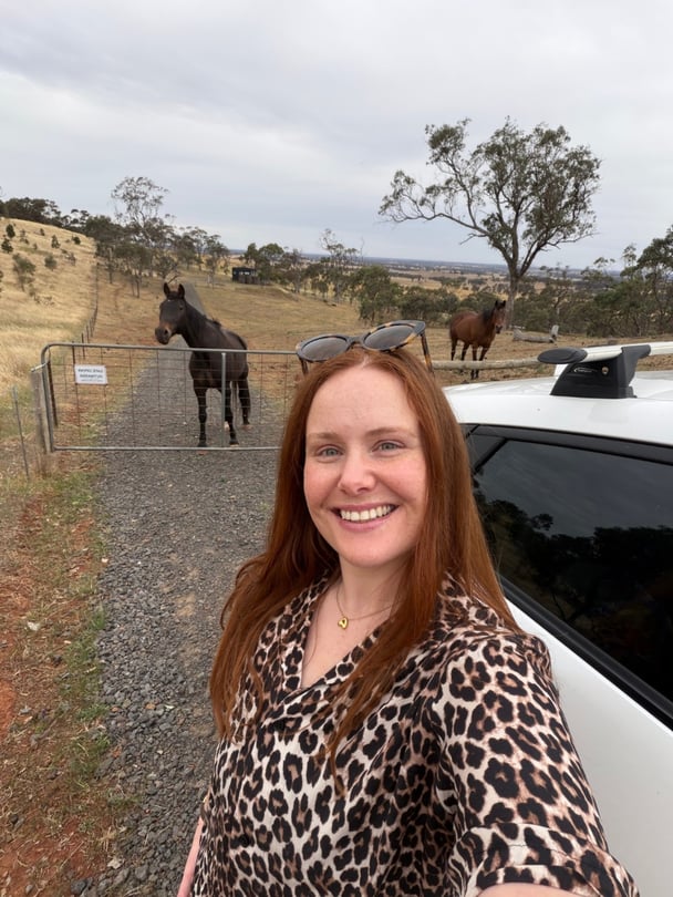 Horses greeted Amy at her accommodation. Image: Supplied.