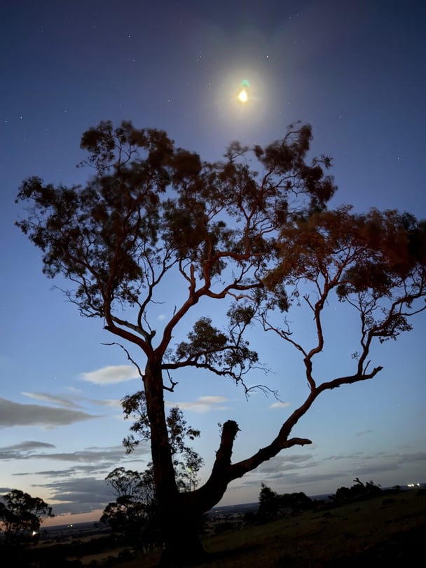 Wide open skies. Image: Supplied.