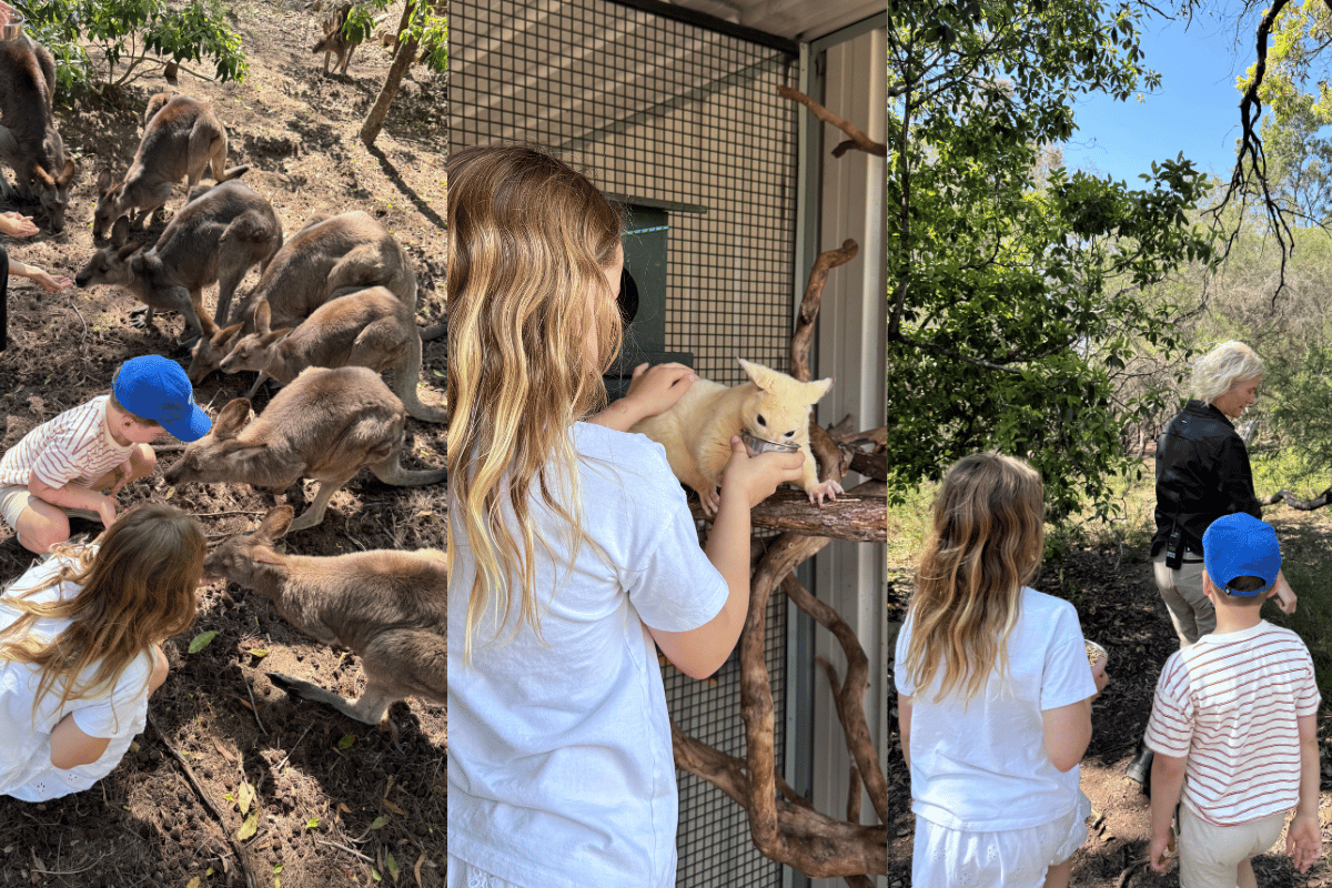 hills-wildlife-sanctuary-dural