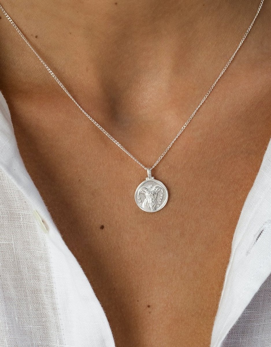 Kristin Ash Capricorn Zodiac Necklace.