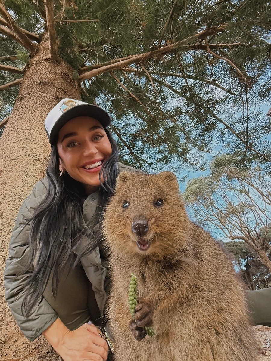 Katy Perry recently shared a quokka selfie from her time in Western Australia.