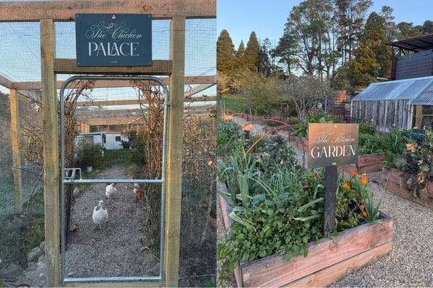 The aptly named Chicken Palace and Kitchen Garden at The Machinery Shed at Logan Brae Orchard Blue Mountains.