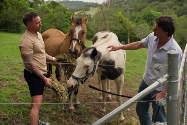 Chris and Sam patting and feeding horses.