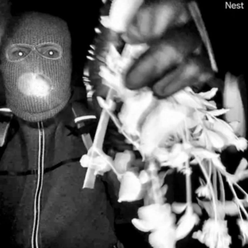 Footage captured of masked individual on Nancy Guthrie's front door.