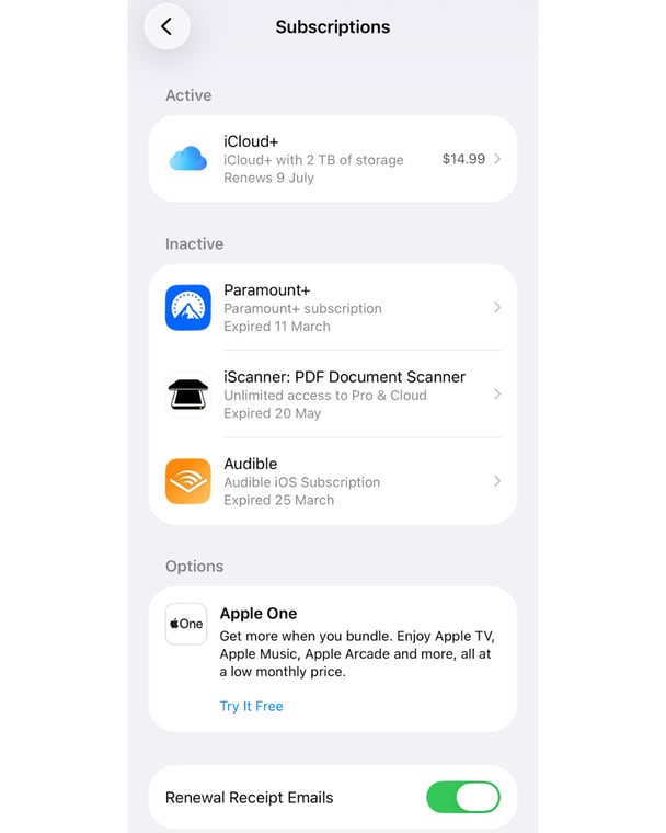 You can manage your subscriptions from the iPhone hub.