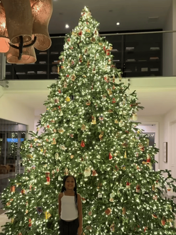 Kylie Jenner's daughter Stormi in front of a Christmas tree.