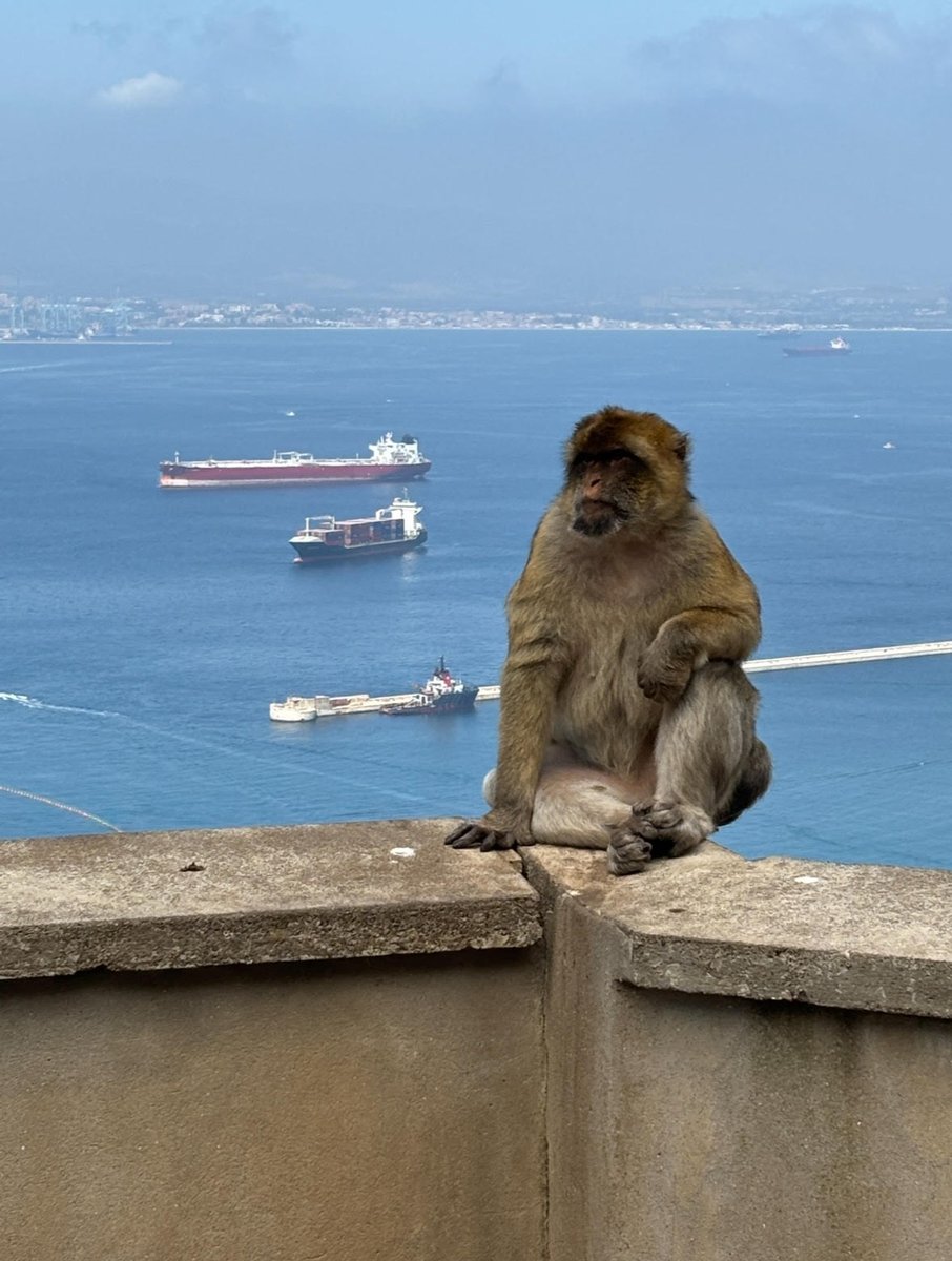 The Ape's Den in Gibraltar.