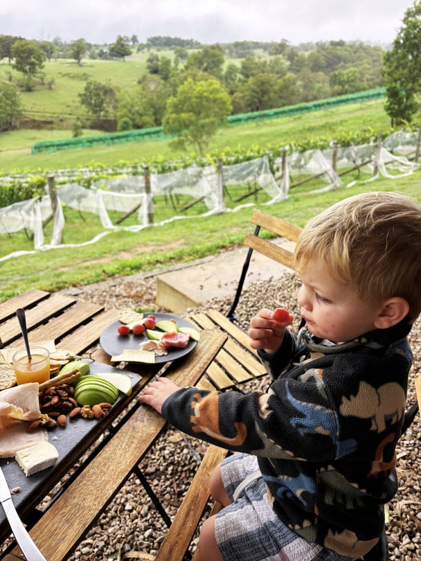 A rustic Ploughman’s Platter at Dryridge Estate with mountain view in the Megalong Valley.